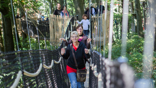 Erlebnisberg Hoherodskopf