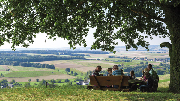 Entdecken Sie die idyllischen Wanderwege und die Natur rund um Alsfeld