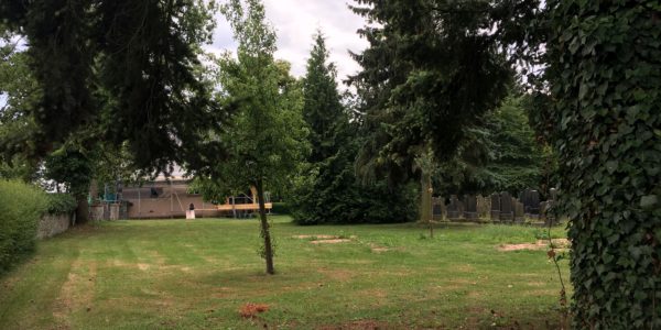 Obstbäume auf dem Alsfelder Friedhof