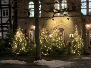 Weihnachtsbäume vor dem Alsfelder Pranger