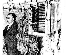 Bananenkeller in der Marburger Straße