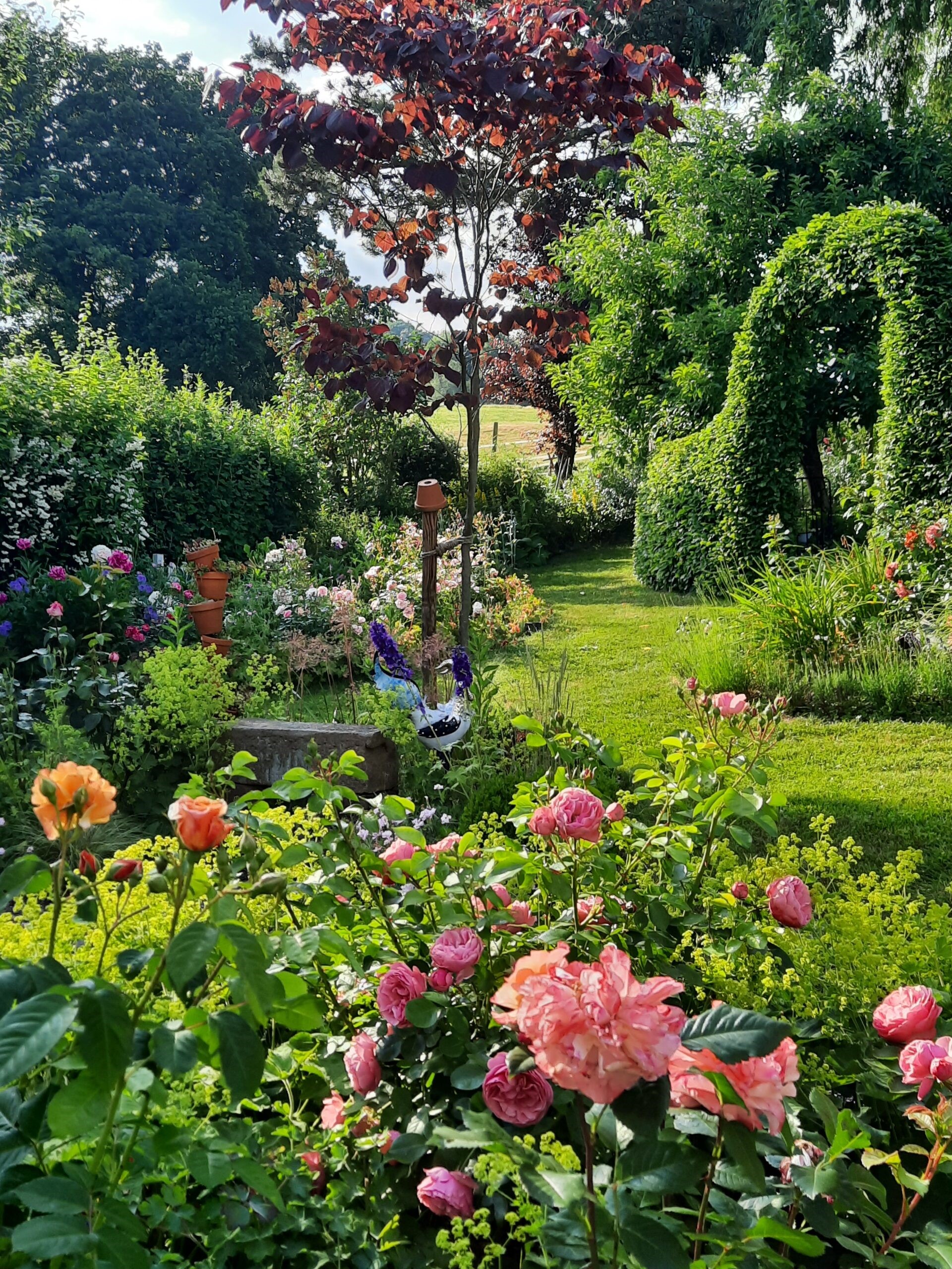 Alsfelder Gartenträume Stadt Alsfeld